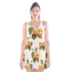 Apricot Fruit Vintage Art Scoop Neck Skater Dress by Pakrebo