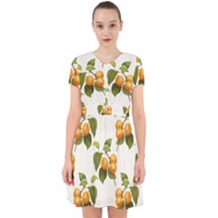 Apricot Fruit Vintage Art Adorable In Chiffon Dress by Pakrebo