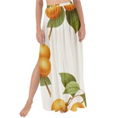 Apricot Fruit Vintage Art Maxi Chiffon Tie-up Sarong by Pakrebo