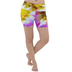 Purple, Pink And White Dahlia With A Bright Yellow Center Lightweight Velour Yoga Shorts by myrubiogarden