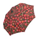 Cherries Jubilee Folding Umbrellas View2