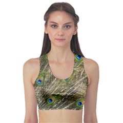 Green Peacock Feathers Color Plumage Sports Bra by Pakrebo