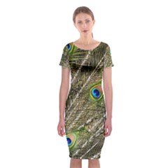 Green Peacock Feathers Color Plumage Classic Short Sleeve Midi Dress by Pakrebo