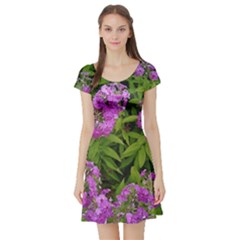 Stratford Garden Phlox Short Sleeve Skater Dress by Riverwoman