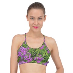 Stratford Garden Phlox Basic Training Sports Bra by Riverwoman