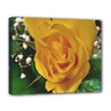 Yellow Rose Deluxe Canvas 20  x 16  (Stretched) View1