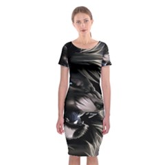 Angry Lion Digital Art Hd Classic Short Sleeve Midi Dress by Sudhe