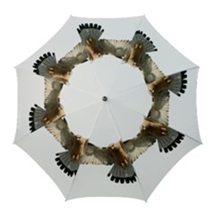 Eagle Golf Umbrellas by Sudhe