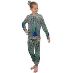 Peacock Bird Animal Feather Kids  Long Sleeve Set  by Pakrebo