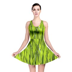 Agricultural Field   Reversible Skater Dress by rsooll