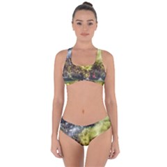 Columbus Crew Crowd, Mapfe Stadium Criss Cross Bikini Set by Riverwoman