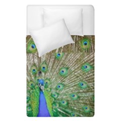 Peacock Color Bird Colorful Duvet Cover Double Side (single Size) by Pakrebo