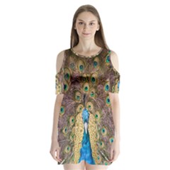 Peacock Feather Peacock Feather Shoulder Cutout Velvet One Piece by Pakrebo