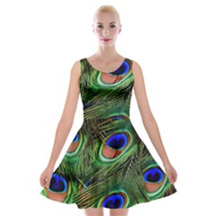 Peacock Feathers Velvet Skater Dress by snowwhitegirl