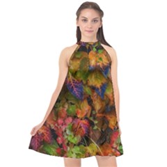 Fall Ivy Halter Neckline Chiffon Dress  by okhismakingart