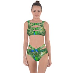 Peacock Peafowl Pattern Plumage Bandaged Up Bikini Set 