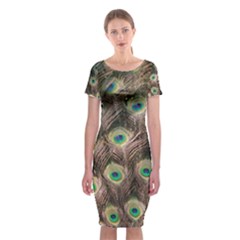 Bird Peacock Tail Feathers Classic Short Sleeve Midi Dress by Pakrebo