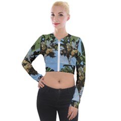 Palm Tree Long Sleeve Cropped Velvet Jacket by snowwhitegirl