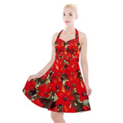 Columbus Commons Red Tulips Halter Party Swing Dress  by Riverwoman