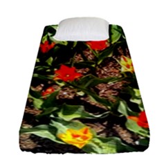 Tulips In April Fitted Sheet (single Size) by Riverwoman