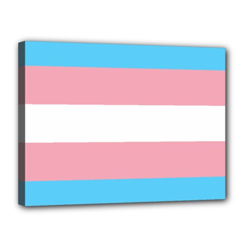 Transgender Pride Flag Canvas 16  X 12  (stretched) by lgbtnation