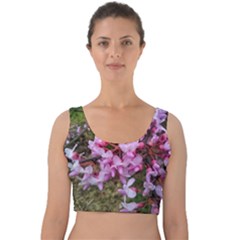 Redbud In April Velvet Crop Top by Riverwoman