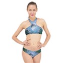 Surfboard With Dolphin High Neck Bikini Set View1