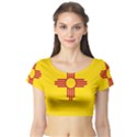 New Mexico Flag Short Sleeve Crop Top View1