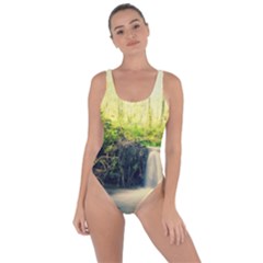 Waterfall River Nature Forest Bring Sexy Back Swimsuit by Pakrebo