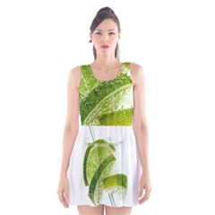 Lime Club Soda Drink Cocktail Scoop Neck Skater Dress by Pakrebo