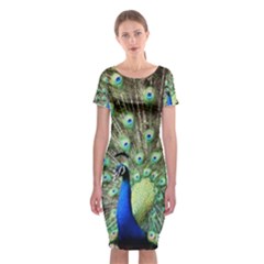 Blue And Green Peacock Classic Short Sleeve Midi Dress by Pakrebo