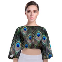 Peacock Feathers Peacock Bird Tie Back Butterfly Sleeve Chiffon Top by Wegoenart