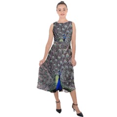 Peacock Bird Feather Plumage Green Midi Tie-back Chiffon Dress by Wegoenart