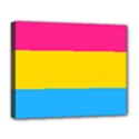 Pansexual Pride Flag Deluxe Canvas 20  x 16  (Stretched) View1