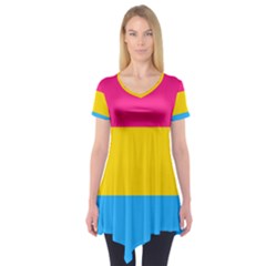 Pansexual Pride Flag Short Sleeve Tunic  by lgbtnation