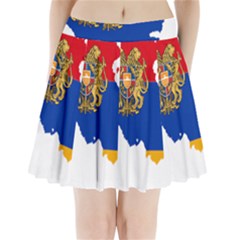 Borders Country Flag Geography Map Pleated Mini Skirt by Sapixe