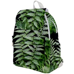 Fern Plant Leaf Green Botany Top Flap Backpack by Pakrebo