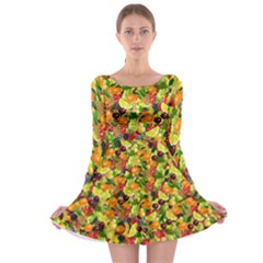 Background Pattern Structure Fruit Long Sleeve Skater Dress by Pakrebo