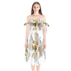 Lilies White Belladonna Shoulder Tie Bardot Midi Dress by Simbadda