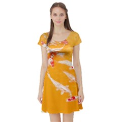 Koi Carp Scape Short Sleeve Skater Dress by essentialimage