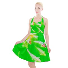 Koi Carp Scape Halter Party Swing Dress  by essentialimage