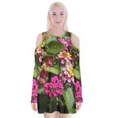 Summer Lantana W Bee Velvet Long Sleeve Shoulder Cutout Dress by Riverwoman