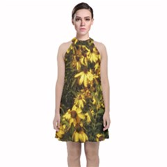 Echinacea Paradoxa Velvet Halter Neckline Dress  by Riverwoman