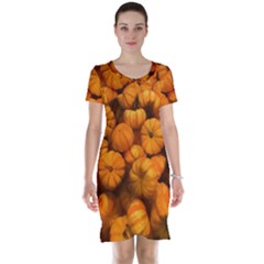 Mini Pumpkins Short Sleeve Nightdress by bloomingvinedesign