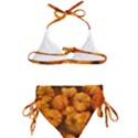 Mini pumpkins Kids  Classic Bikini Set View2