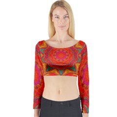 Background Pattern Surface Texture Long Sleeve Crop Top by Wegoenart