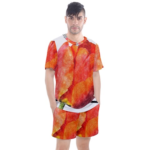 Tulip Watercolor Red And Black Stripes Men s Mesh Tee And Shorts Set by picsaspassion