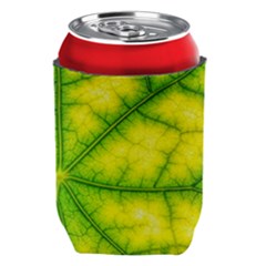 Photosynthesis Leaf Green Structure Can Holder by Wegoenart