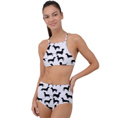 Dachshunds! High Waist Tankini Set by ZeeBee