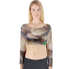 Close Up Mushroom Abstract Long Sleeve Crop Top by Fractalsandkaleidoscopes